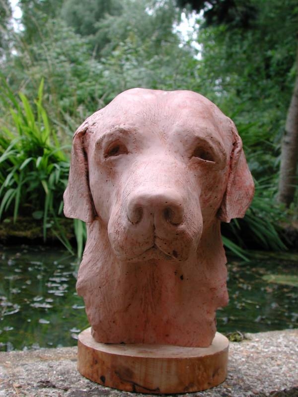 Sculpture portrait of a labrador